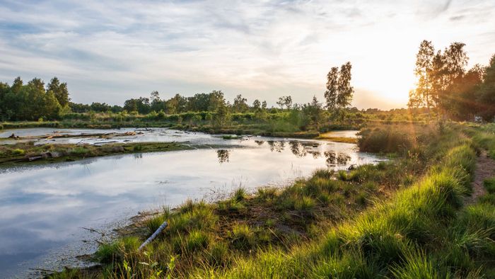 Wir bewahren die letzten Moore Deutschlands! So z.B. die Diepholzer Moorniederung; Foto: Wlad 74 / Shutterstock.com