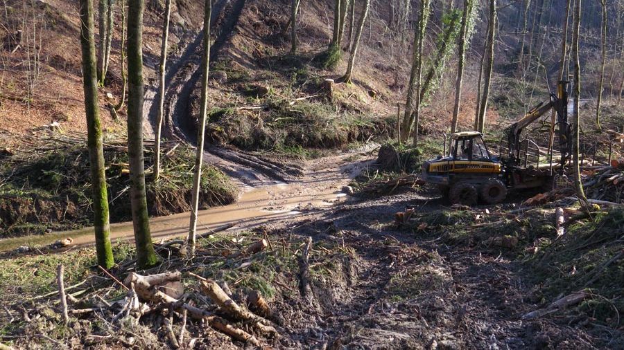 Naturschutzgebiet Pähler Schlucht: Massive Zerstörungen, starkes Ausholzen, kubikmeterweise Schlamm in den Burgleitenbach; Foto: Helmut Hermann