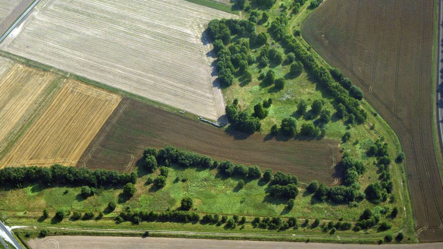 Luftbild vom Grünen Band zwischen Thüringen und Hessen. Foto: Klaus Leidorf