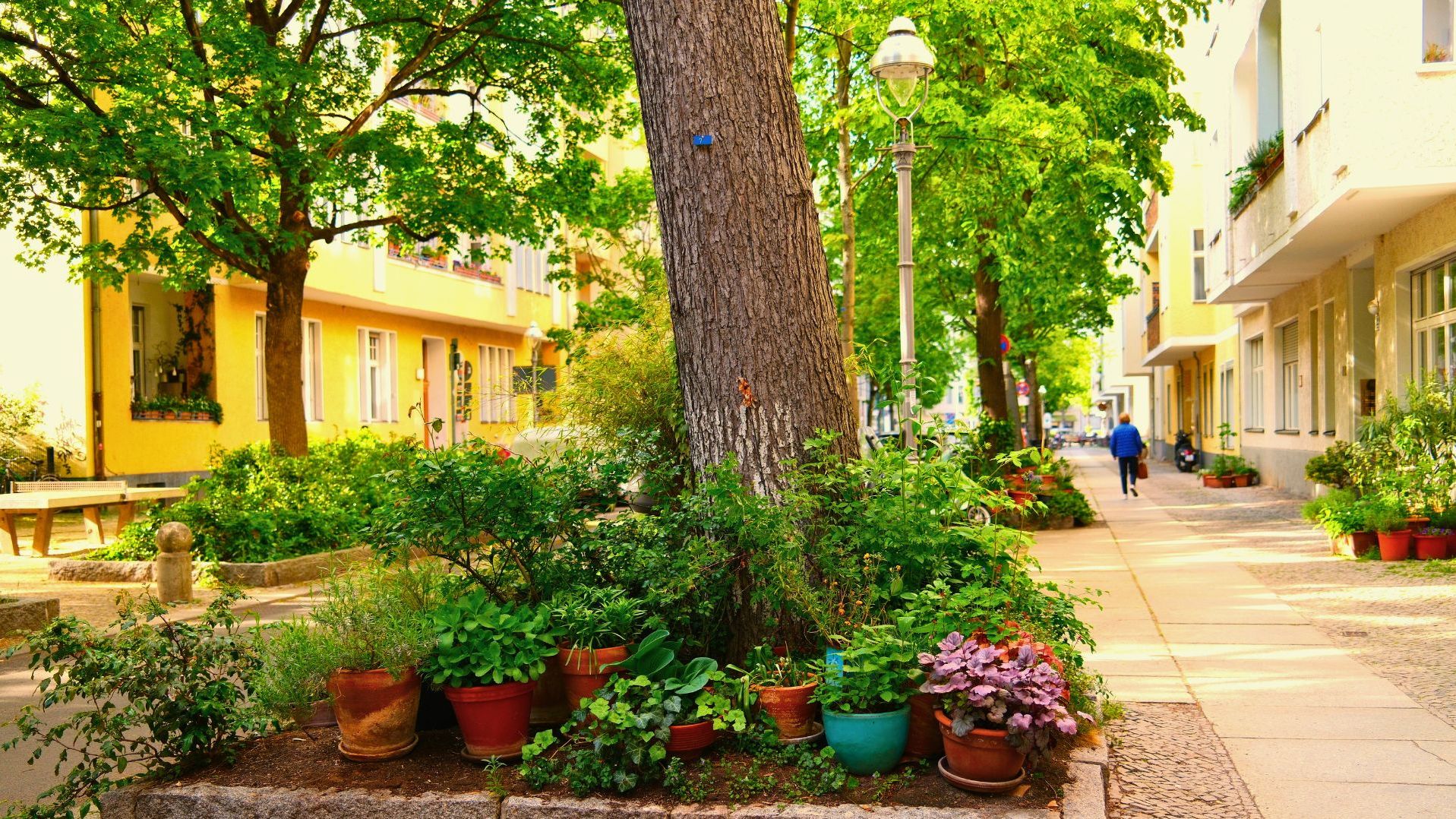 Eine Straße mit Bäumen und vielen Pflanzen. Foto: philip1234 / Shutterstock.com
