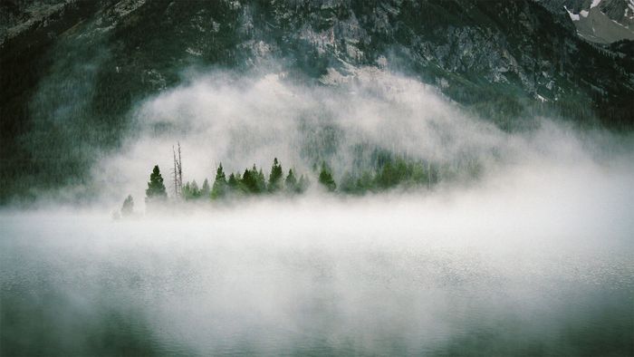 Landschaft im Nebel. Foto: Dustin Scarpitti / CC0 1.0 / unsplash.com