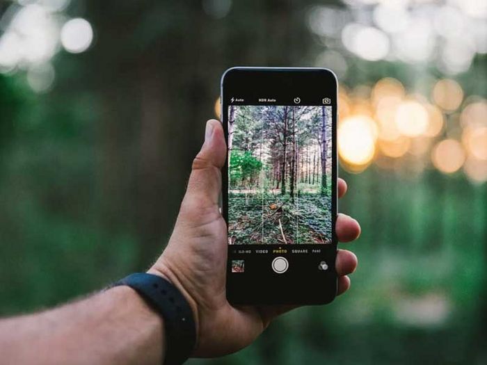 Smartphone vor Wald
