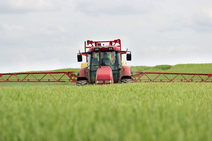 Traktor sprüht Pestizide im Getreidefeld