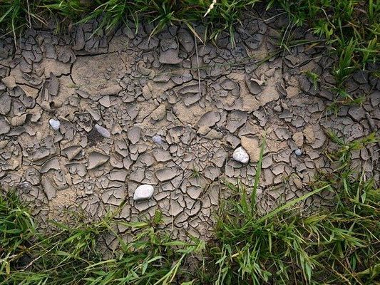 Der Klimawandel schadet unseren Gewässern und trocknet die Böden aus.