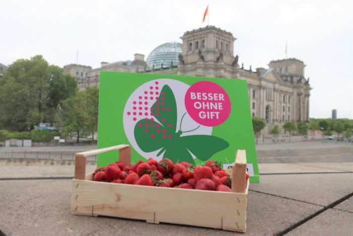 Ein Korb mit Erdbeeren vor dem Bundestag mit dem Logo "Besser ohne Gift".