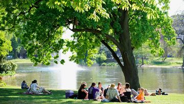 Menschen sitzen unter einem Baum am Wasser. Foto: Andreas Tittelbach / shutterstock.com