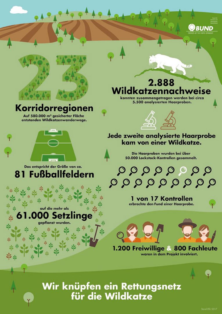 Rettungsnetz Wildkatze in Zahlen