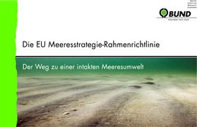 Forderungen zur EU-Meeresstrategie-Rahmenrichtlinie. Foto: BUND