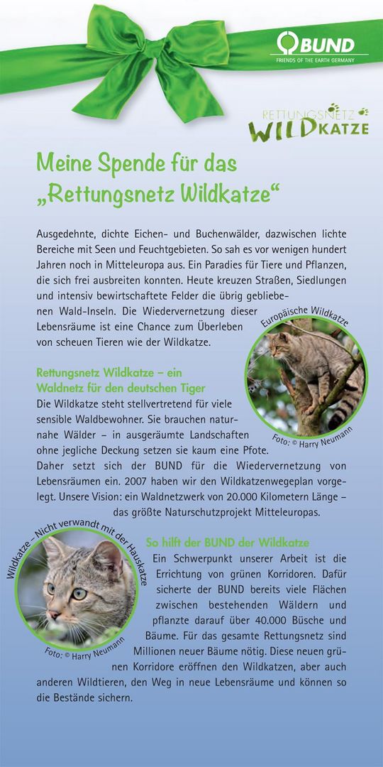 Faltblatt Wildkatze