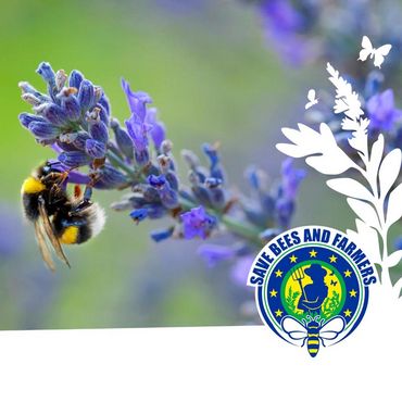 EBI mitmachen und Bienen, Bauern und Bäuerinnen retten