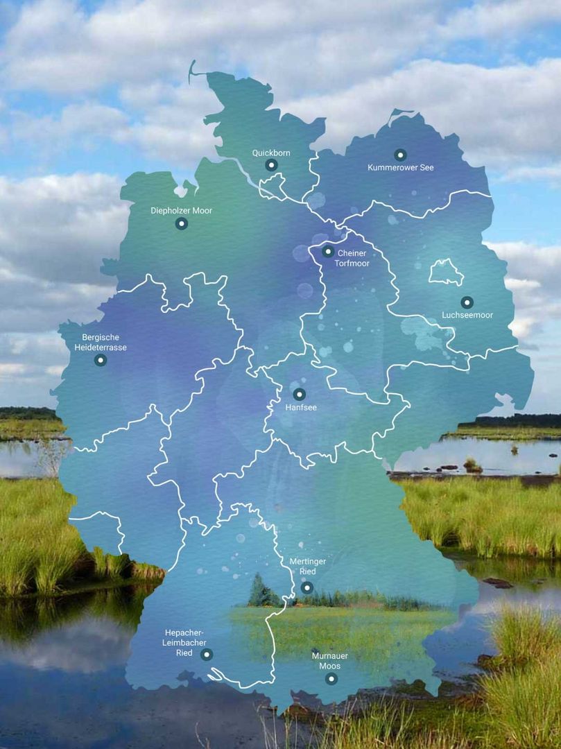 BUND Diepholzer Moorniederung