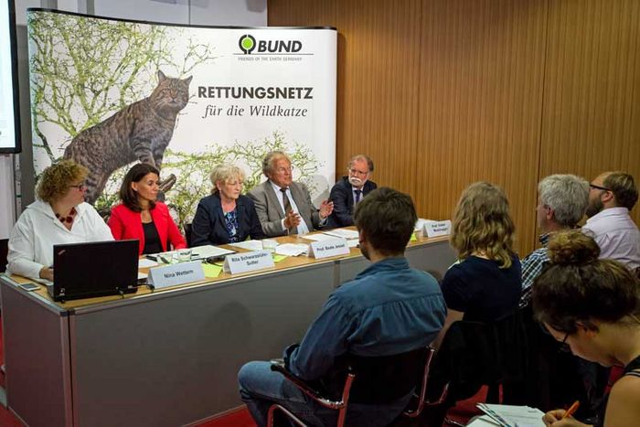Pressekonferenz zum Abschluss des Projekts "Wildkatzensprung"; Foto: Judith Freund