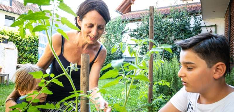 Familie Metzendorf Pflanzen