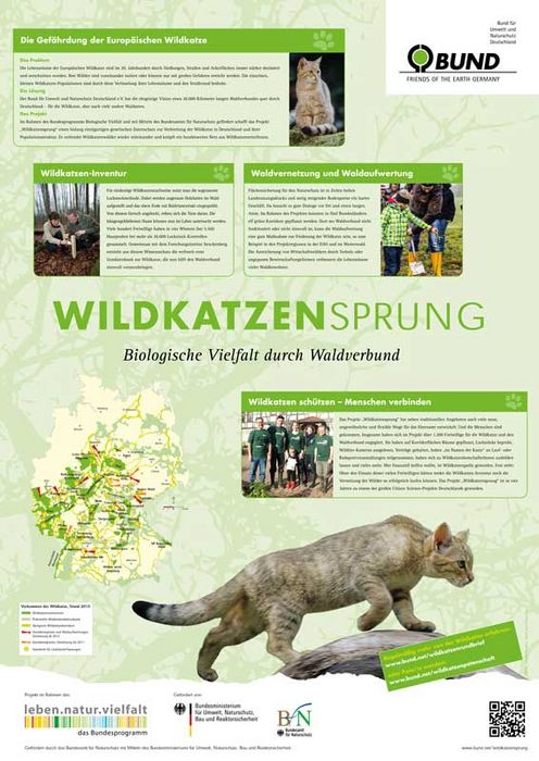Wildkatzensprung – Biologische Vielfalt durch Waldverbund