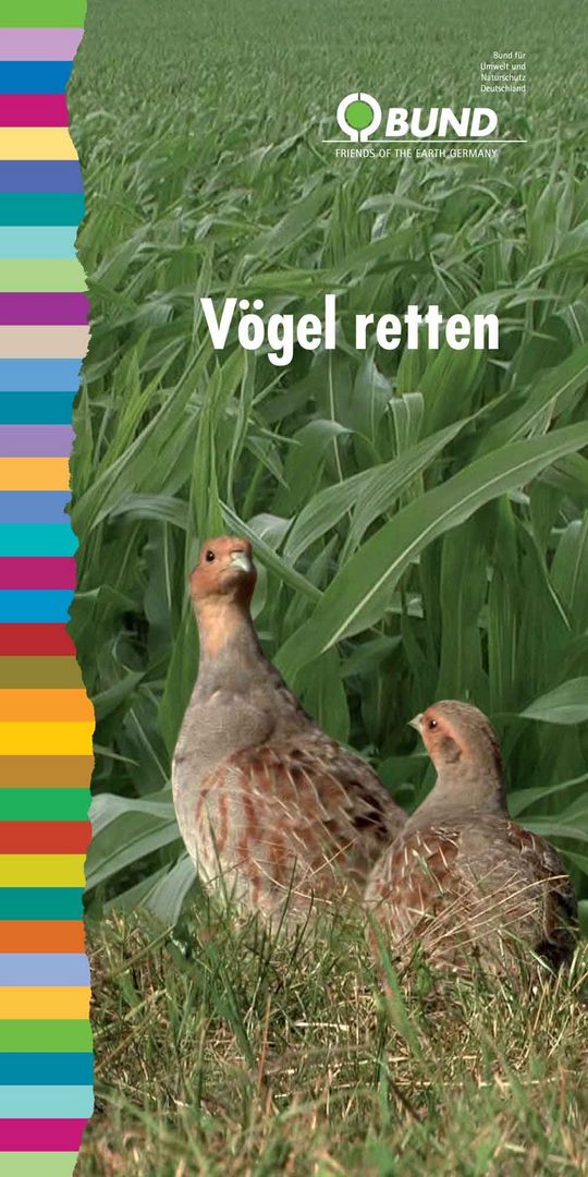 Faltblatt "Vögel retten"