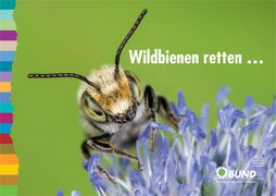 Luzerne-Blattschneiderbiene. Foto: BUND