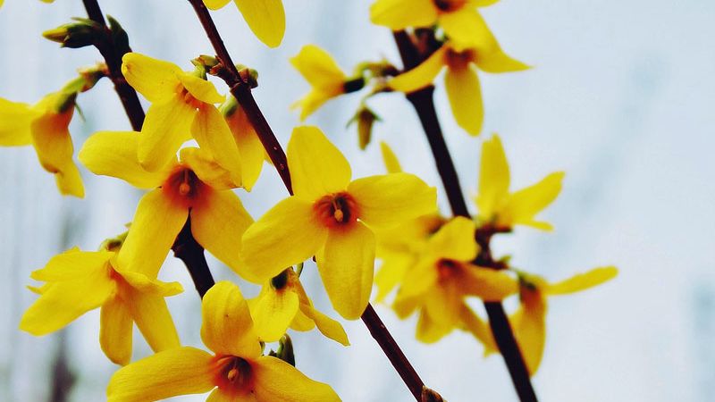 Umweltfreundlich zu Ostern dekorieren