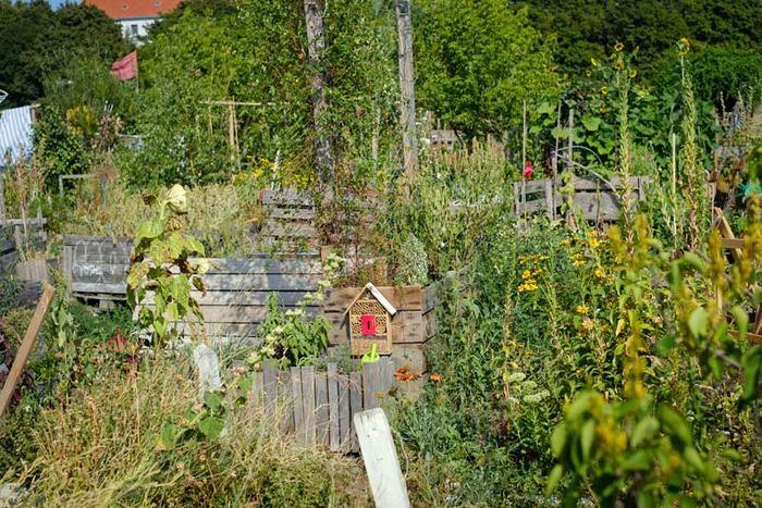 Urban-Gardening-Projekt in Berlin