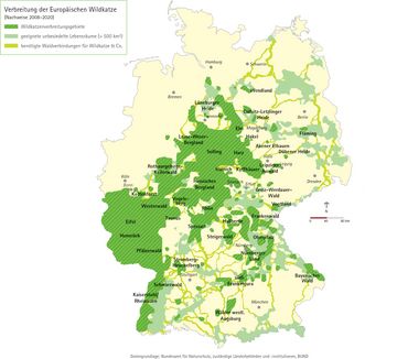 Wildkatzenvorkommen in Deutschland, Abbildung: Die Projektoren / BUND