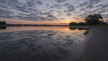 Elbe im Sonnenuntergang. Foto: Dieter Damschen