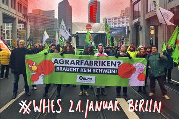 "Wir haben es satt!"-Demo in Berlin 2017, Foto: BUND