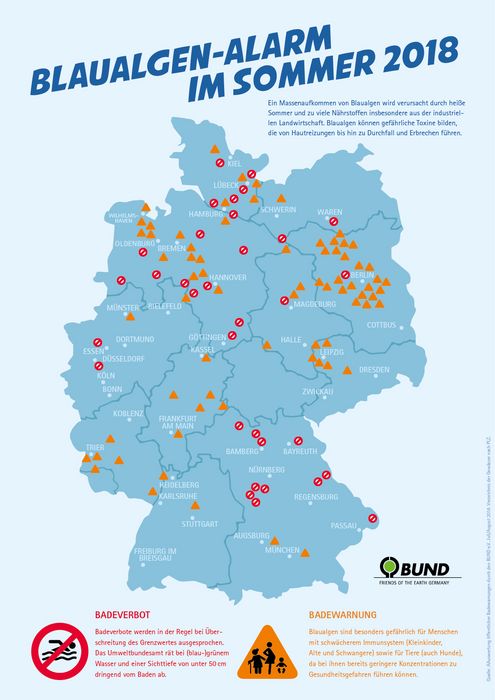 Infografik: Blaualgen in Deutschland