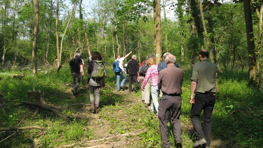 Exkursion des BUND-Arbeitskreises Wald im Speyerer Auwald; Foto: N. Uhde