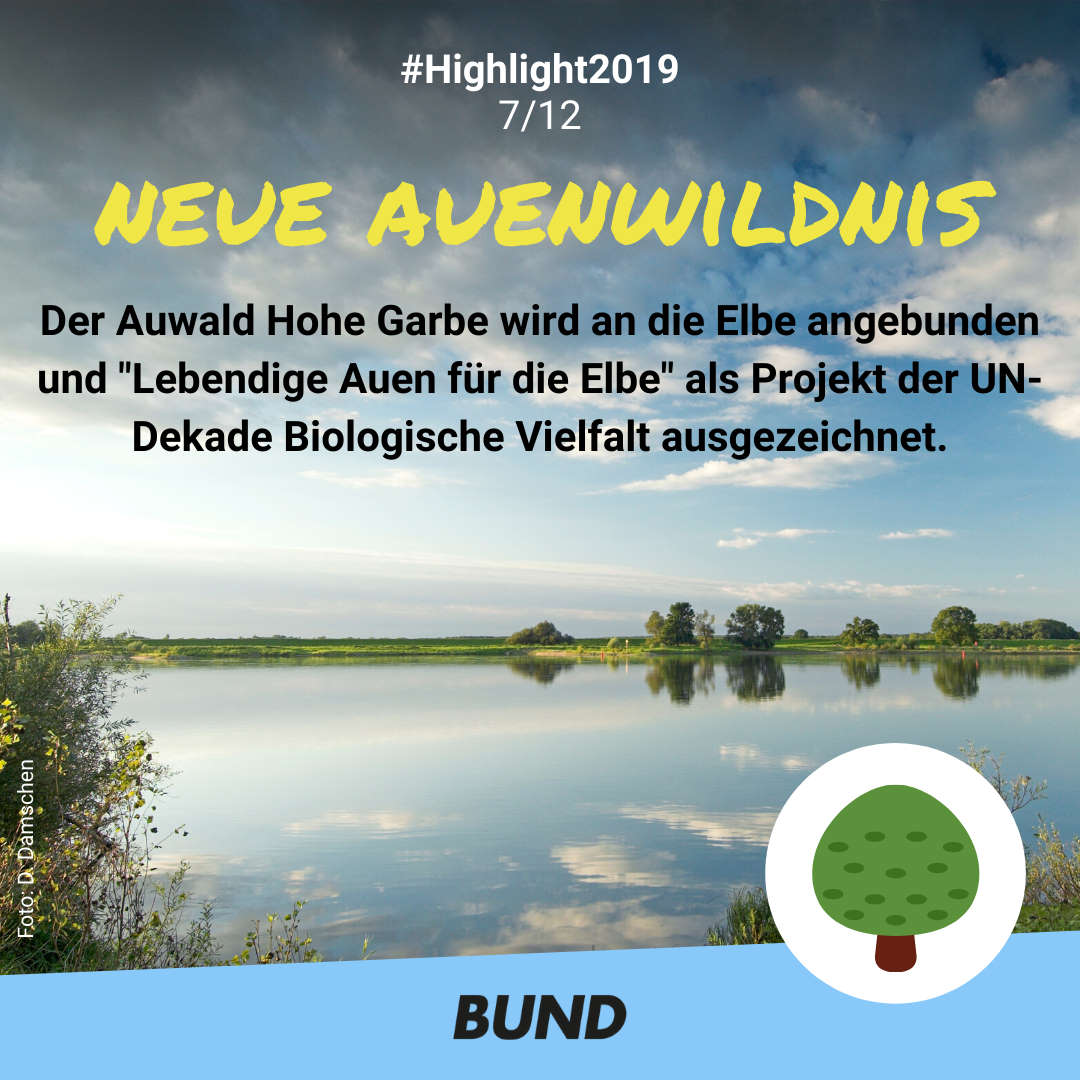 BUND-Highlight #7: Auszeichnung für unser Projekt "Lebendige Auen für die Elbe"