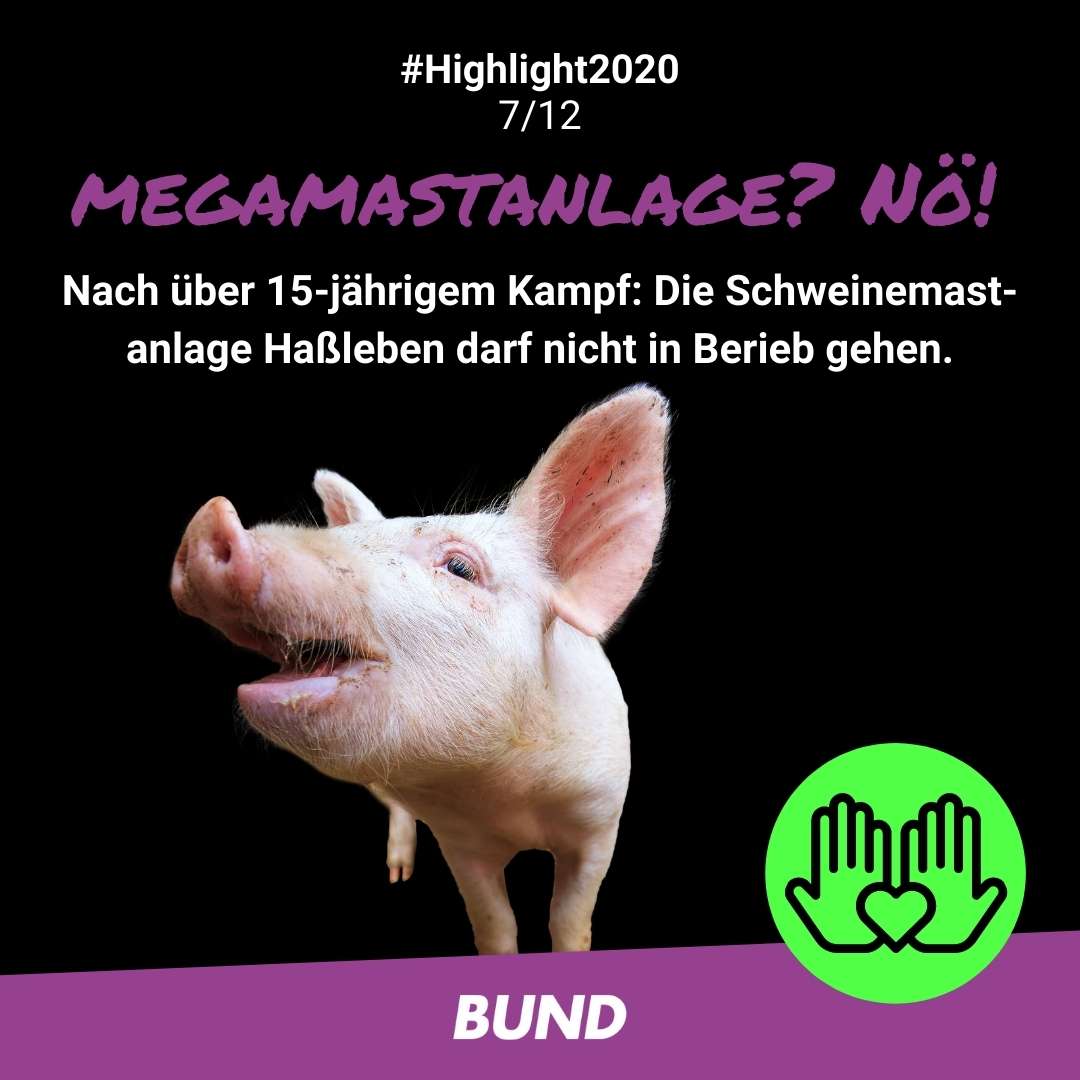 BUND-Highlight Nummer 7: Die Schweinemastanlage Haßleben darf endgültig nicht in Betrieb gehen