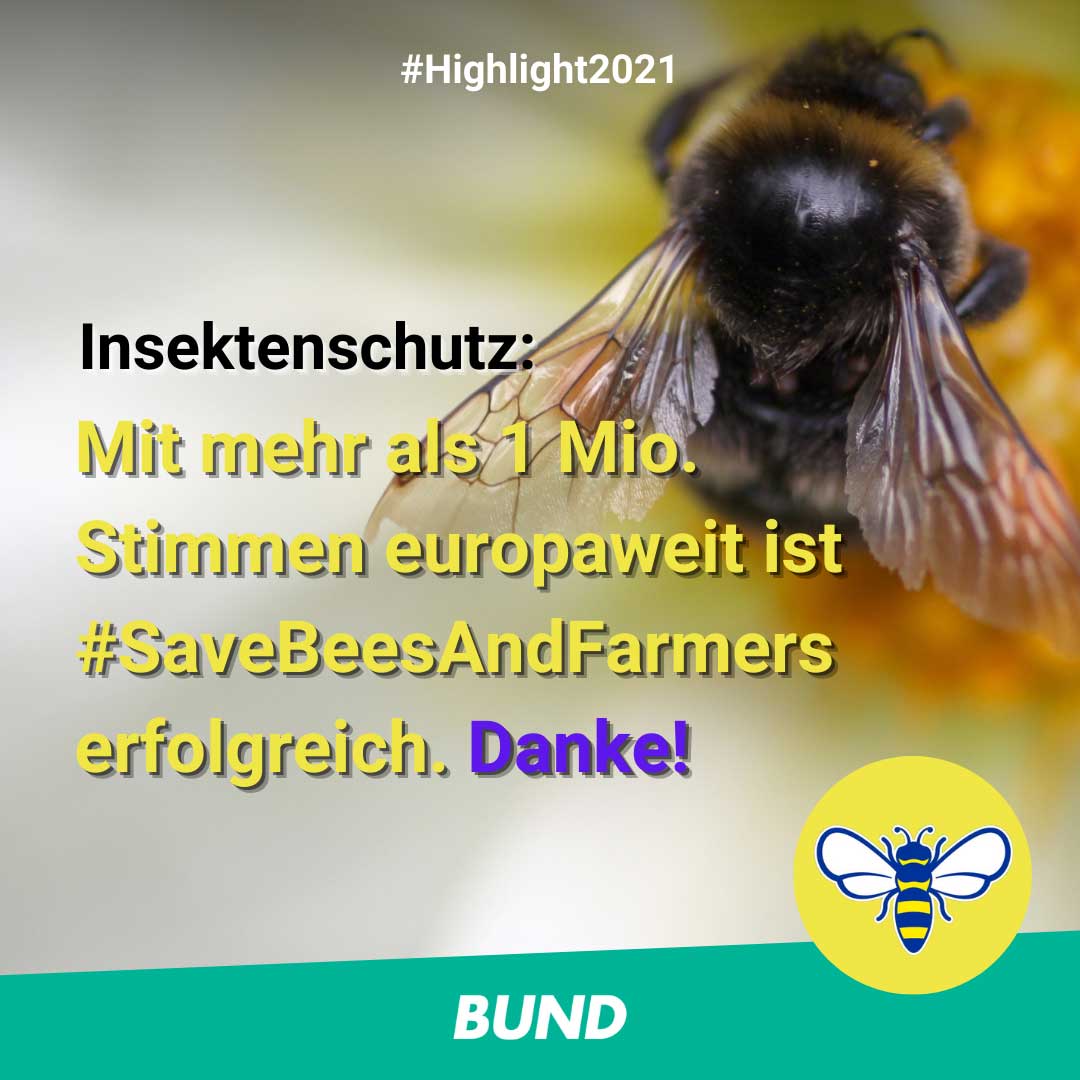 BUND-Highlight Nummer 9: Die EBI "Bienen und Bäuer*innen retten" wird zum Erfolg