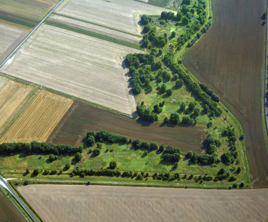 Luftbild vom Grünen Band zwischen Thüringen und Hessen. Foto: Klaus Leidorf