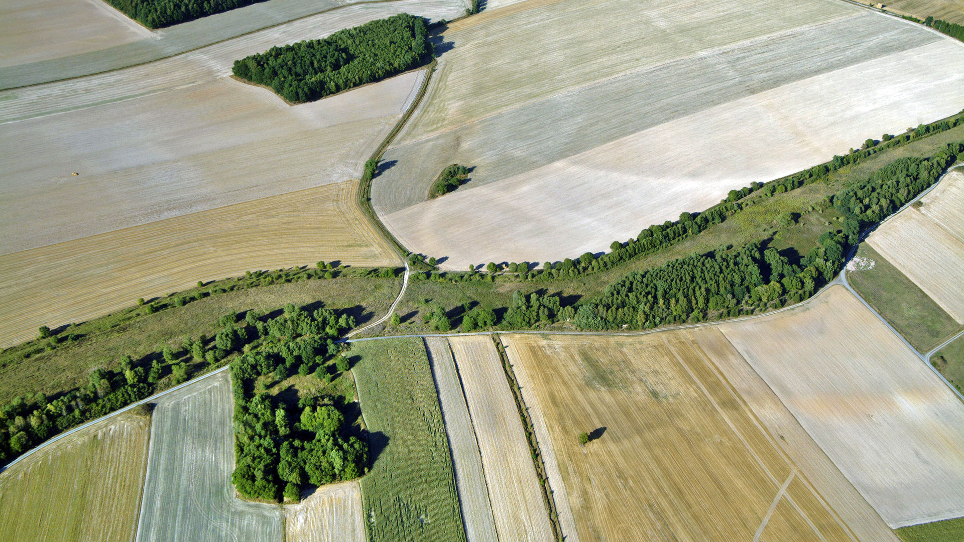 Luftbild vom Grünen Band zwischen Bayern und Thüringen. Foto: Klaus Leidorf
