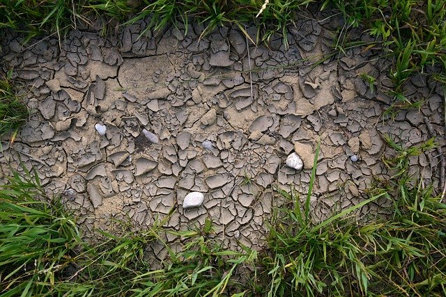 Der Klimawandel schadet unseren Gewässern und trocknet die Böden aus.