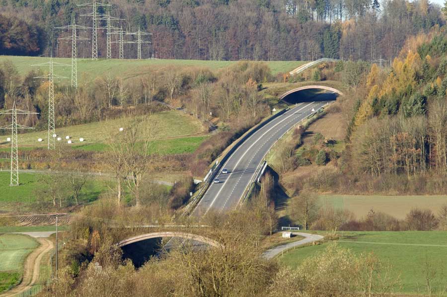 Grünbrücken und eine Unterführung an einer Fernstraße; Foto: Thomas Stephan