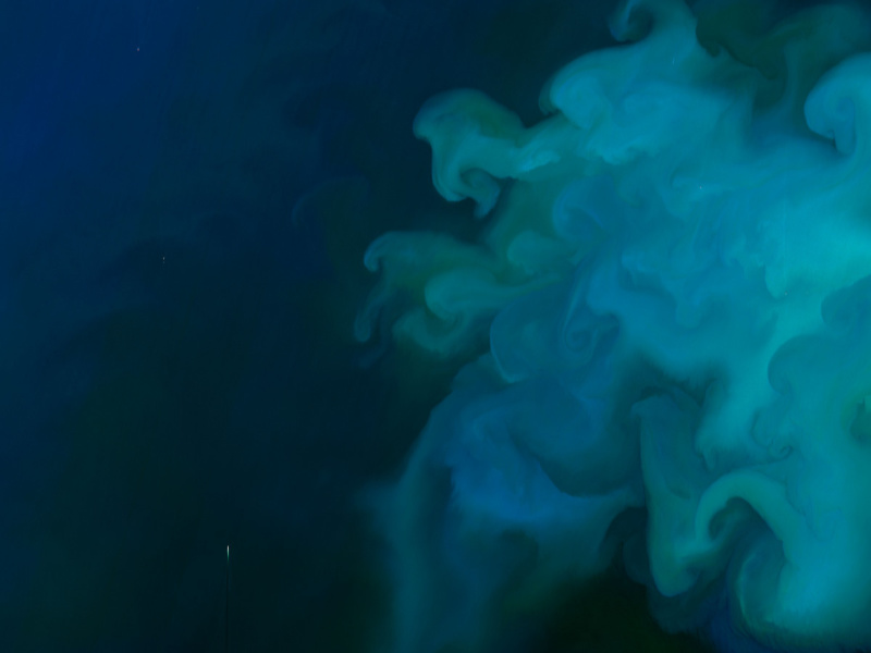 Farbenspiel aus CO2-aufnehmendem Phytoplankton in der Nordsee.