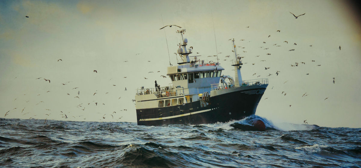 Fischerei: Ein Trawler auf hoher See