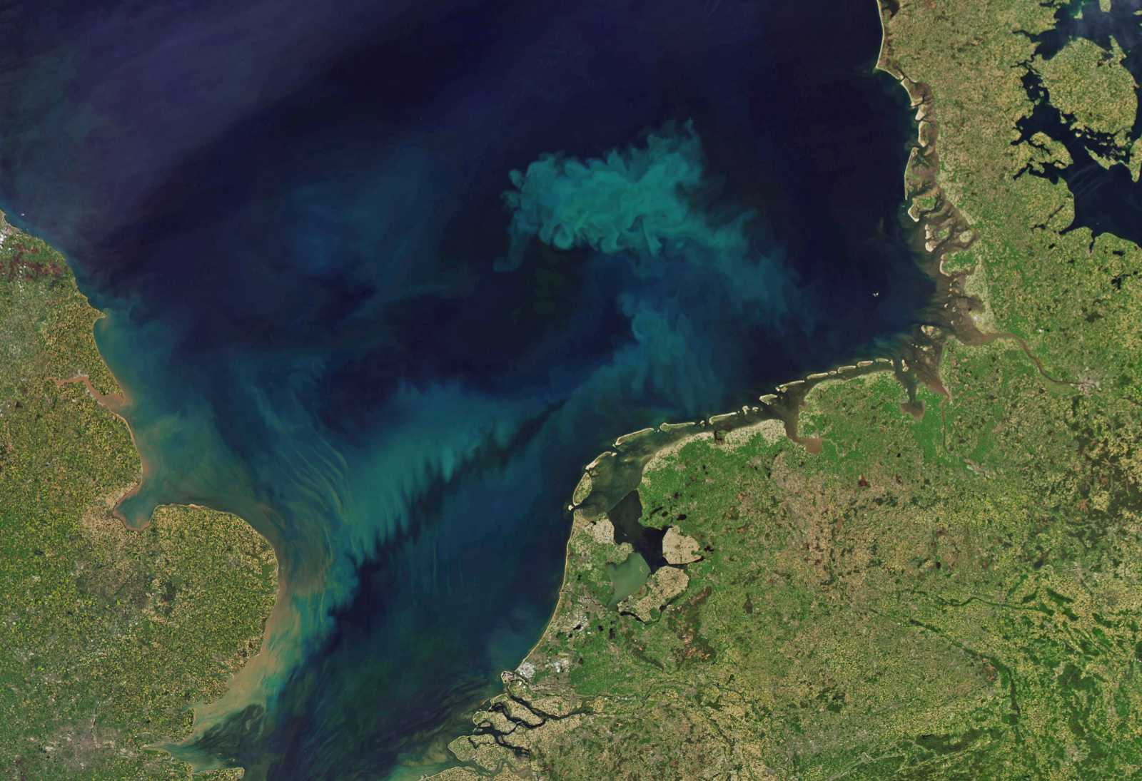 Farbenspiel aus CO2-aufnehmendem Phytoplankton in der Nordsee.