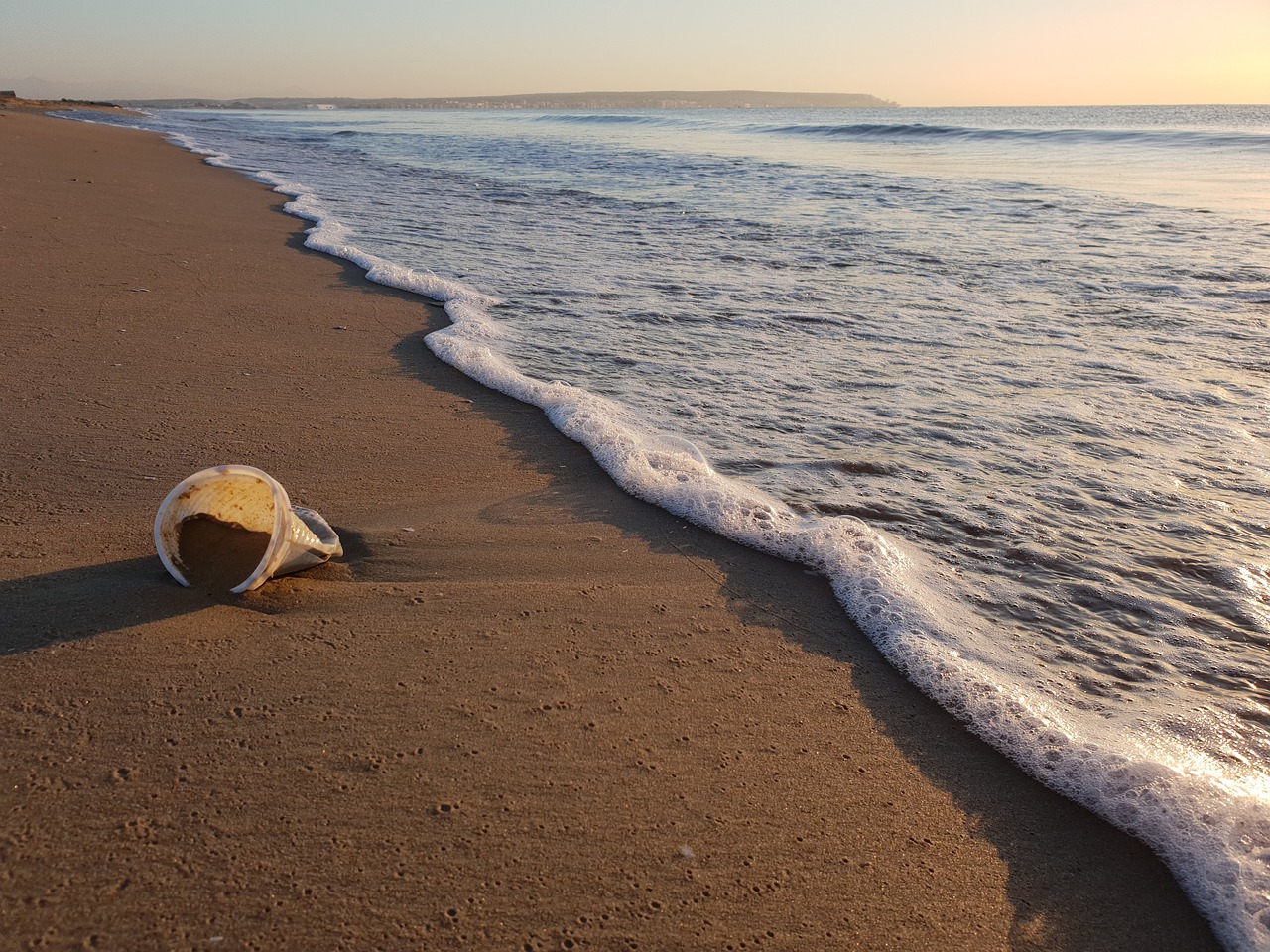 Meeresschutz: Plastikbecher am Strand
