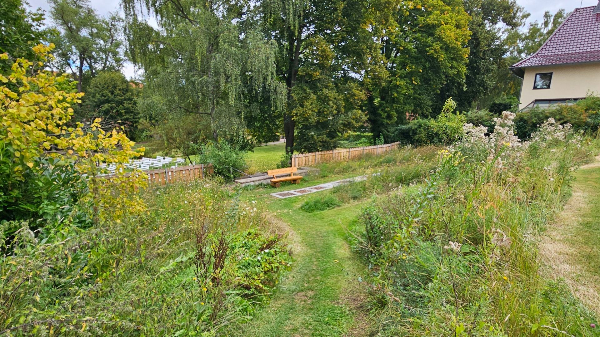 Spannende Schneisen und gemütliche Sitzgruppen im naturnahen Garten
