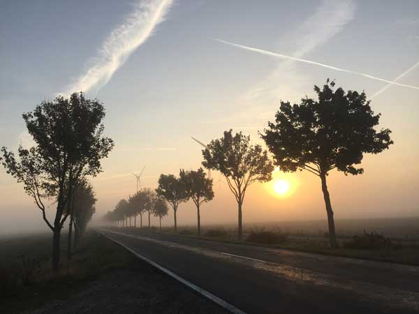 Allee des Jahre 2020 – Platz 3: Nebel-Allee zwischen Nauen und Groß Behnitz im Landkreis Havelland in Brandenburg