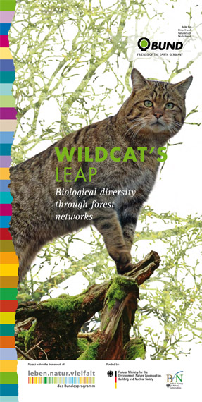 Wildcat's Leap. Foto: BUND