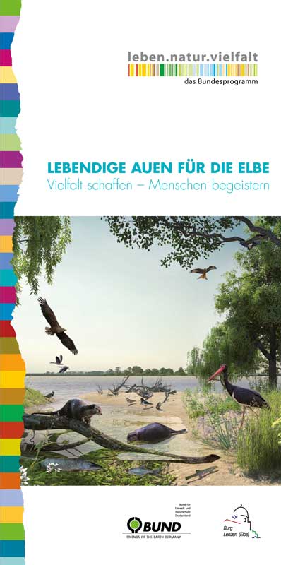 Lebendige Auen für die Elbe: Vielfalt schaffen – Menschen begeistern