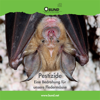 Pestizide – eine Bedrohung für unsere Fledermäuse. Foto: BUND