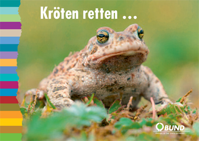 Postkarte "Kreuzkröte". Foto: BUND
