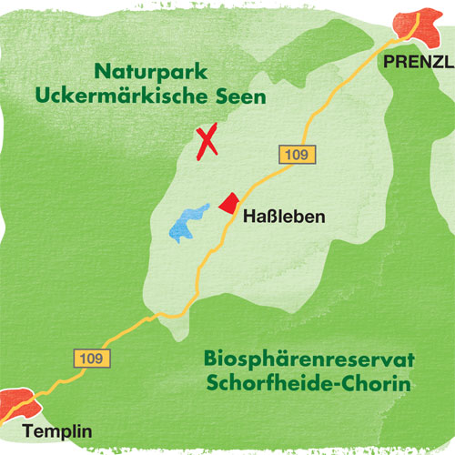 Karte der geplanten Mastanlage in Haßleben. Grafik: BUND