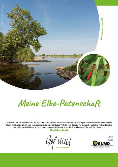 Elbe-Urkunde