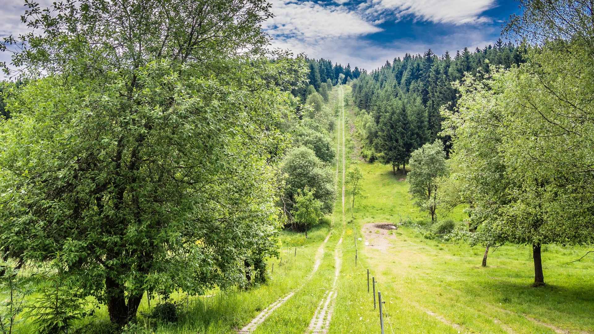 Kolonnenweg. Foto: Matthias Müller