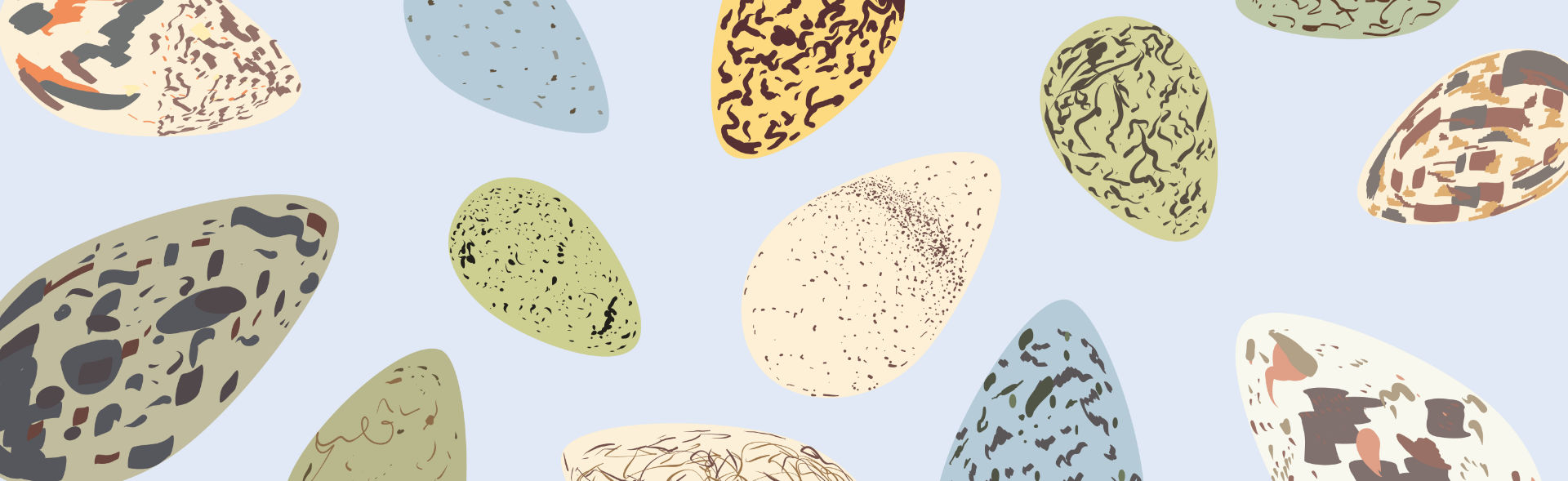 Die Eier der Trottellumme sind spitze und – wie der Meeresvogel – in Gefahr. Grafik: Louisa Schmitz / BUND