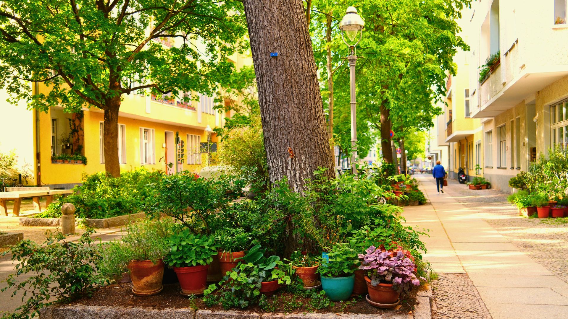 Eine Straße mit Bäumen und vielen Pflanzen. Foto: philip1234 / Shutterstock.com