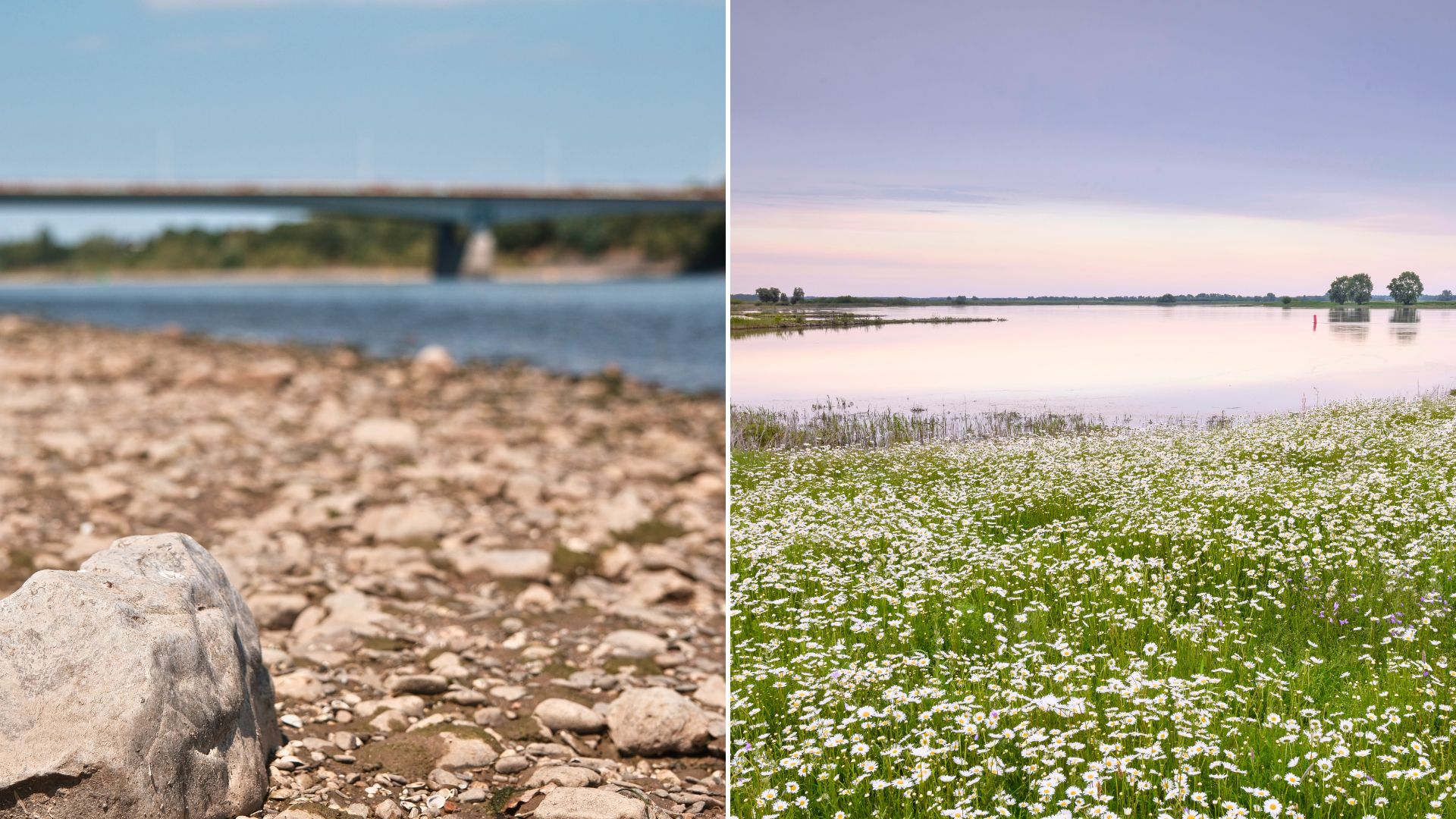 Rhein mit Niedrigwasser vs. frei fließender Fluss. Fotos: Fotowerkstatt-KS / shutterstock.com, Dieter Damschen / BUND